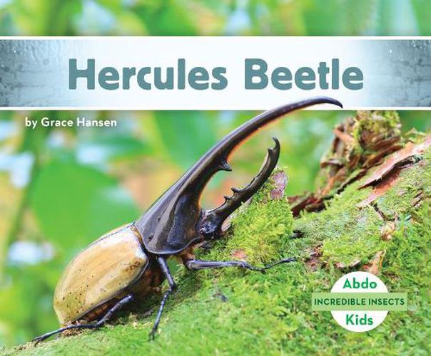 Cover image for Hercules Beetle