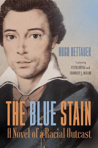 Cover image for The Blue Stain: A Novel of a Racial Outcast