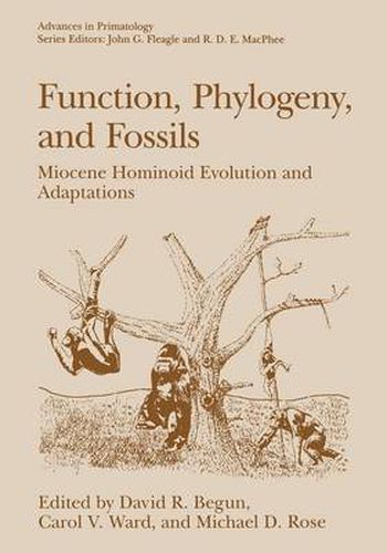 Function, Phylogeny, and Fossils: Miocene Hominoid Evolution and Adaptations