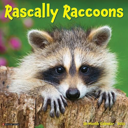 Cover image for Rascally Raccoons 2026 12 X 12 Wall Calendar