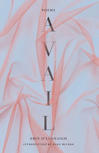 Cover image for Avail