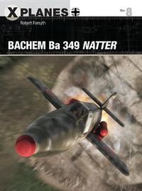 Cover image for Bachem Ba 349 Natter