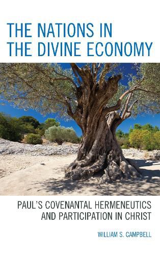 Cover image for The Nations in the Divine Economy: Paul's Covenantal Hermeneutics and Participation in Christ