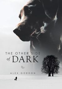 Cover image for The Other Side of Dark