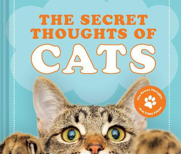 Cover image for The Secret Thoughts of Cats