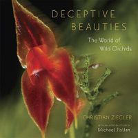 Cover image for Deceptive Beauties