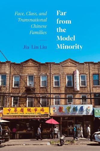Cover image for Far from the Model Minority