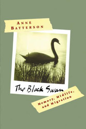 Cover image for The Black Swan: Memory, Midlife, and Migration