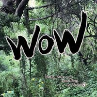 Cover image for WOW by Junko: English & Japanese