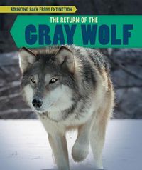 Cover image for The Return of the Gray Wolf