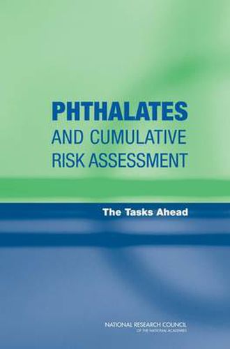 Phthalates and Cumulative Risk Assessment: The Task Ahead