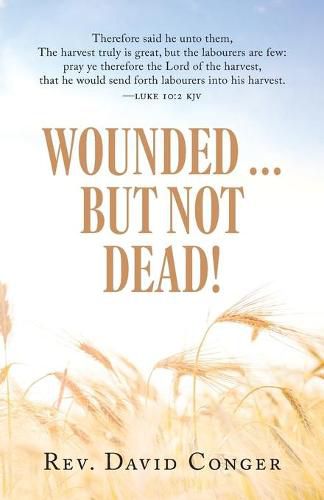 Cover image for Wounded ... But Not Dead!