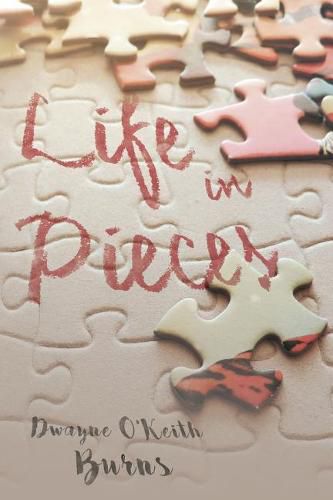 Cover image for Life in Pieces