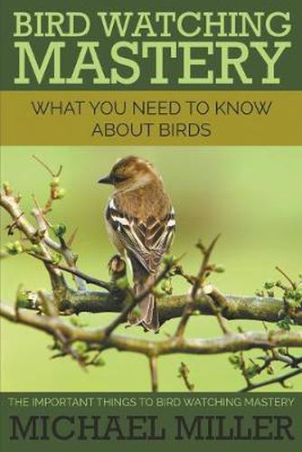 Bird Watching Mastery: What You Need to Know about Birds: The Important Things to Bird Watching Mastery