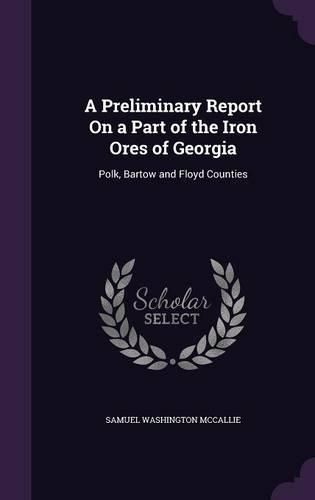 Cover image for A Preliminary Report on a Part of the Iron Ores of Georgia: Polk, Bartow and Floyd Counties