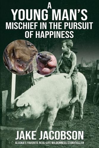 Cover image for A Young Man's Mischief in the Pursuit of Happiness