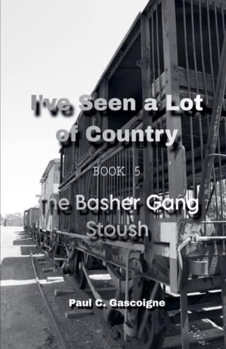 Cover image for I've Seen a Lot of Country