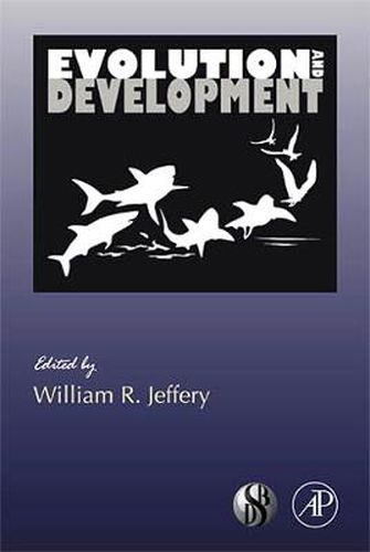 Cover image for Evolution and Development