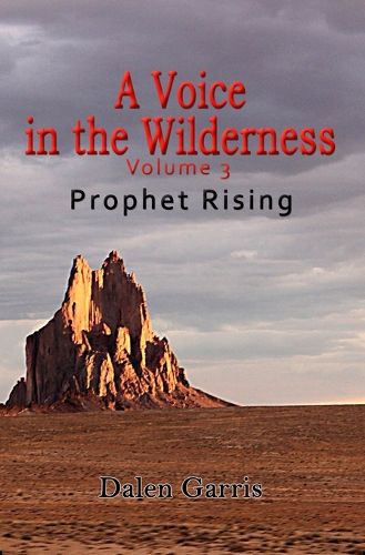 Cover image for A Voice in the Wilderness