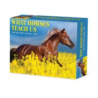 Cover image for What Horses Teach Us 2025 6.2 X 5.4 Box Calendar