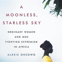 Cover image for A Moonless, Starless Sky: Ordinary Women and Men Fighting Extremism in Africa