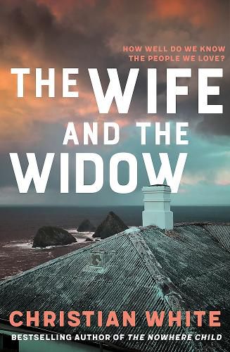 Cover image for The Wife and the Widow