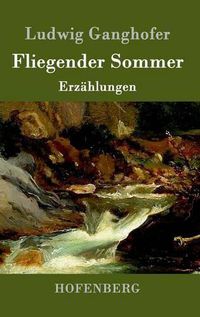 Cover image for Fliegender Sommer: Erzahlungen