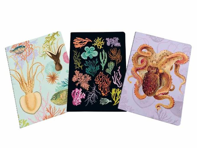 Cover image for Art of Nature: Under the Sea Sewn Notebook Collection