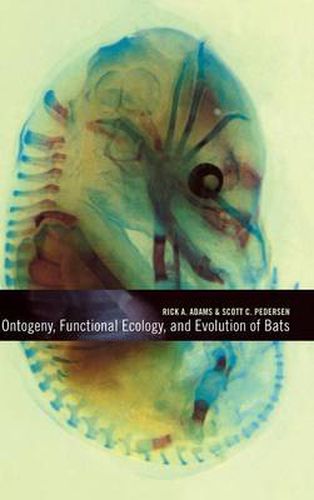 Cover image for Ontogeny, Functional Ecology, and Evolution of Bats