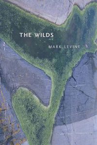 Cover image for The Wilds