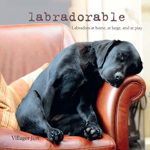 Cover image for Labradorable: Labradors at Home, at Large, and at Play