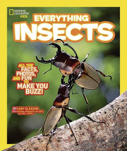 Cover image for Everything Insects: All the Facts, Photos, and Fun to Make You Buzz