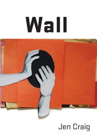 Cover image for Wall