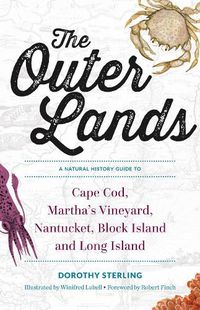 Cover image for The Outer Lands: A Natural History Guide to Cape Cod, Martha's Vineyard, Nantucket, Block Island, and Long Island