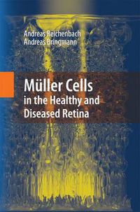 Cover image for Muller Cells in the Healthy and Diseased Retina