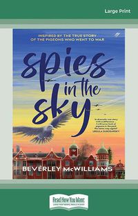 Cover image for Spies in the Sky