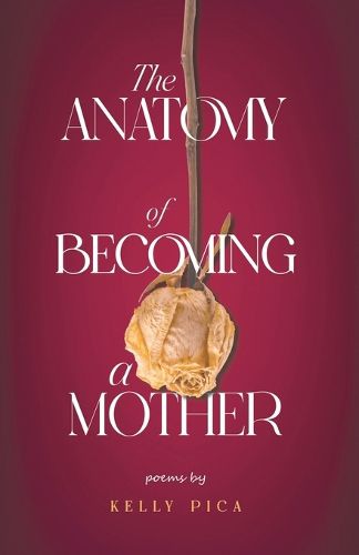 Cover image for The Anatomy of Becoming a Mother