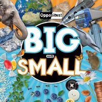 Cover image for Big and Small