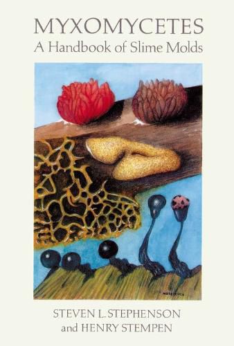 Cover image for Myxomycetes: Handbook of Slime Molds