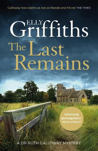 Cover image for The Last Remains