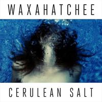 Cover image for Cerulean Salt 