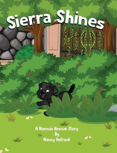 Cover image for Sierra Shines