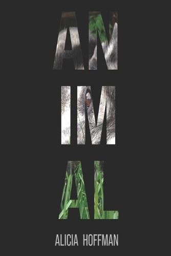 Cover image for Animal