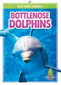 Cover image for Bottlenose Dolphins