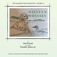 Cover image for Stella's Odyssey