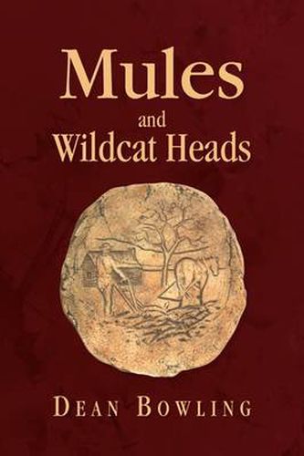 Cover image for Mules And Wildcat Heads