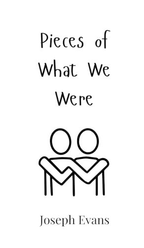 Cover image for Pieces of What We Were