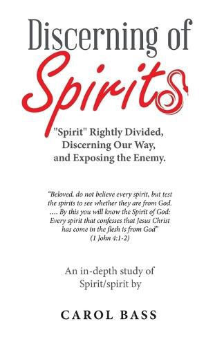 Cover image for Discerning of Spirits