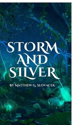 Cover image for Storm and Silver