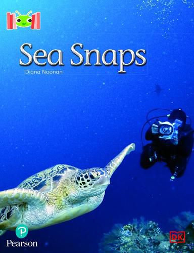 Cover image for Bug Club Reading Corner: Age 5-7: Sea Snaps